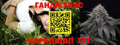 индика Гусиноозёрск