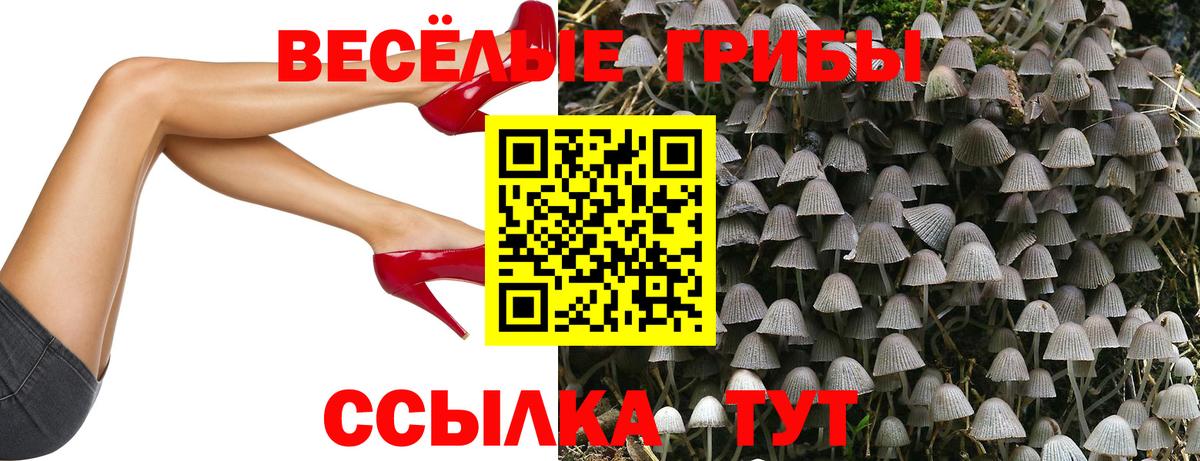 Галлюциногенные грибы Cubensis Можайск