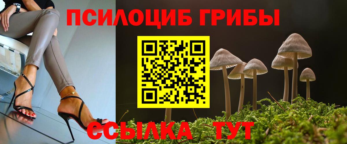 Псилоцибиновые грибы Psilocybine cubensis  Вход с VPN  Можайск 